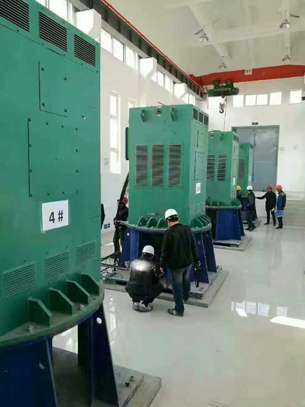 湘乡某污水处理厂使用我厂的立式高压电机安装现场
