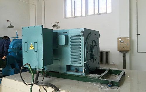 湘乡某水电站工程主水泵使用我公司高压电机一年质保